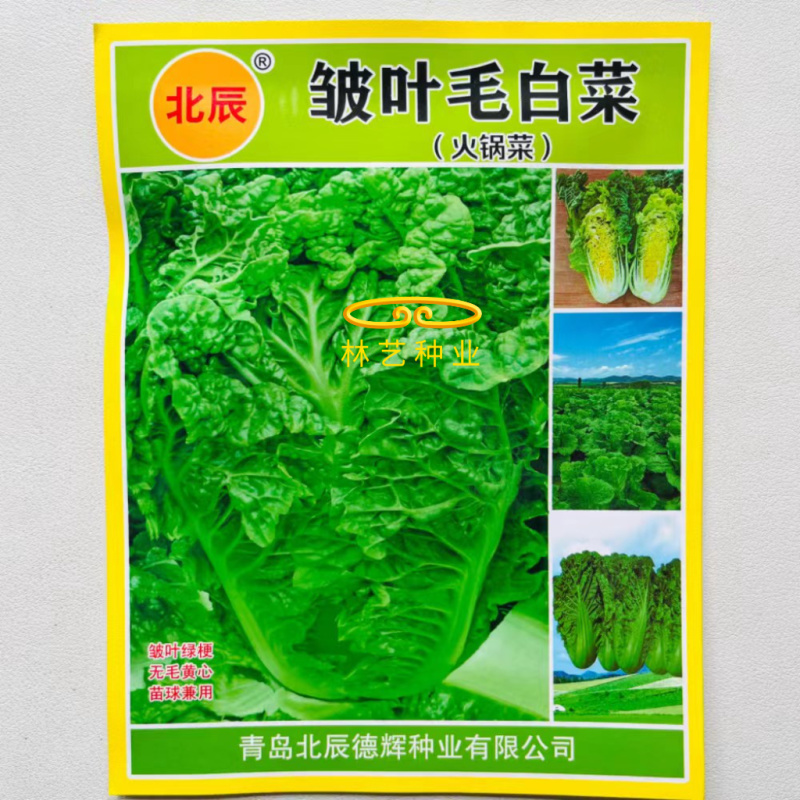 皱叶毛白菜种子结球包心早熟耐寒抗病秋冬蔬菜种子南北方秋季