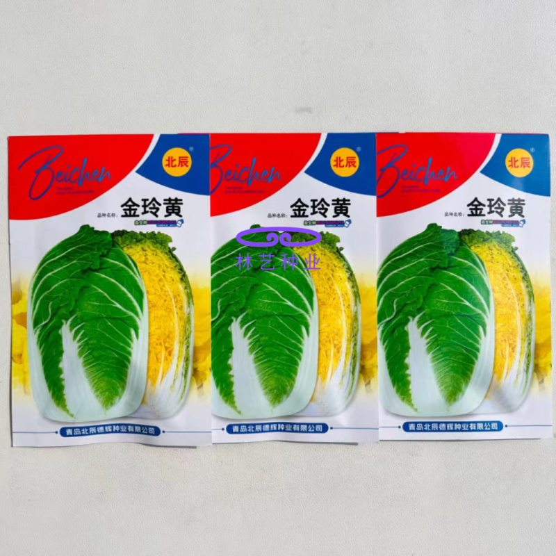 金玲黄黄心白菜种子口感好绿叶黄芯早熟高产商品性佳