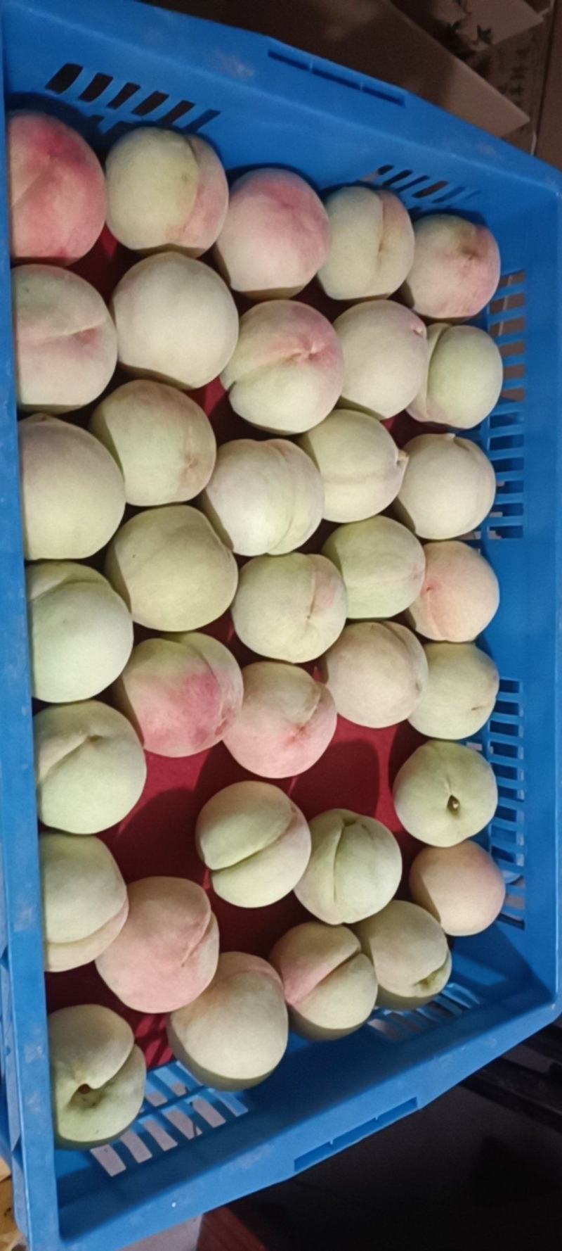 奉化水蜜桃自家自产自销，可发快递可自取宁波量大可送上门