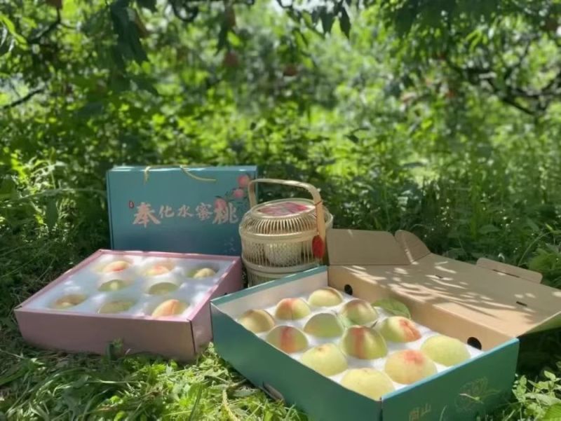 奉化水蜜桃自家自产自销，可发快递可自取宁波量大可送上门