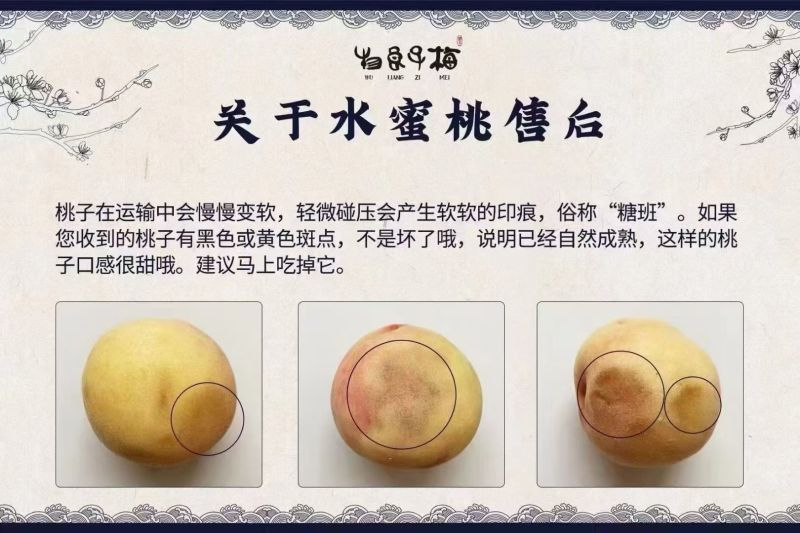 奉化水蜜桃自家自产自销，可发快递可自取宁波量大可送上门