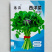 西洋菜种子风味清新营养丰富抗性优良潮湿环境生长稳定