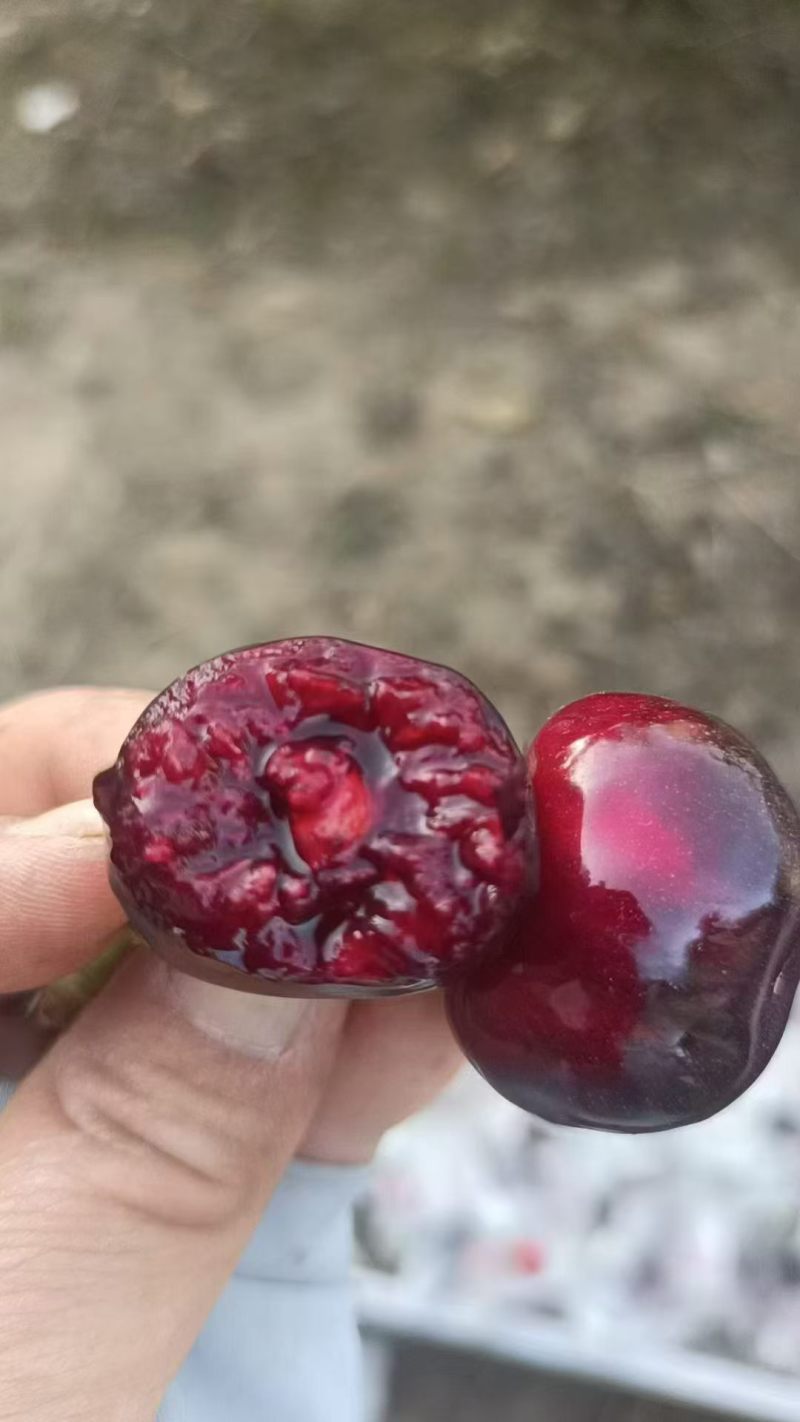 天水大樱桃