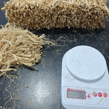 长白山人参白生晒，泡酒煲汤料，干参