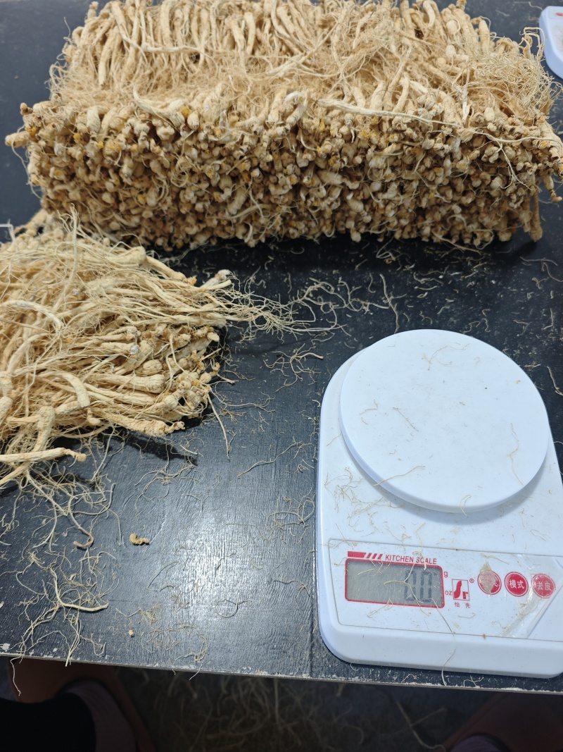 长白山人参白生晒，泡酒煲汤料，干参