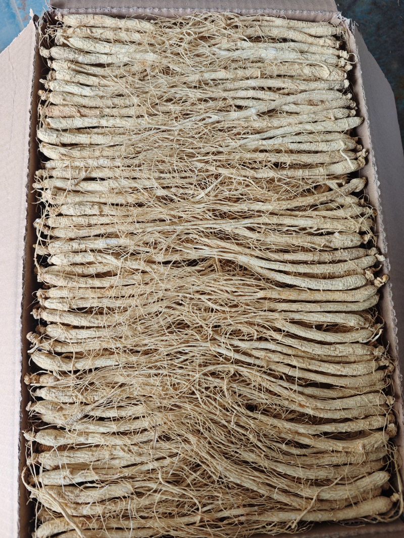 长白山人参白生晒，泡酒煲汤料，干参