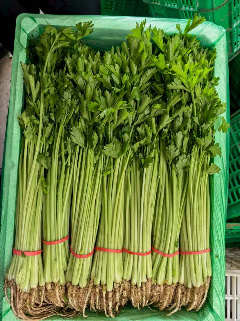 精品宁夏小香芹