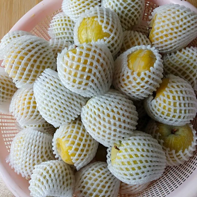 黄金奈李