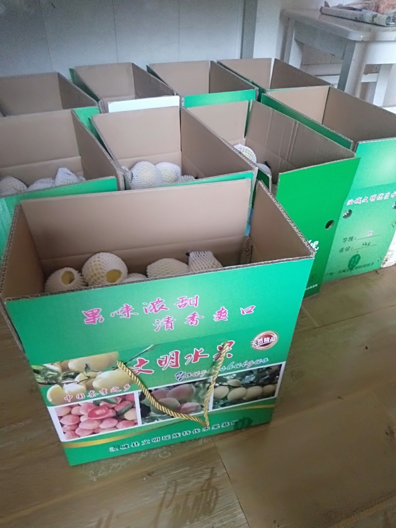 黄金奈李