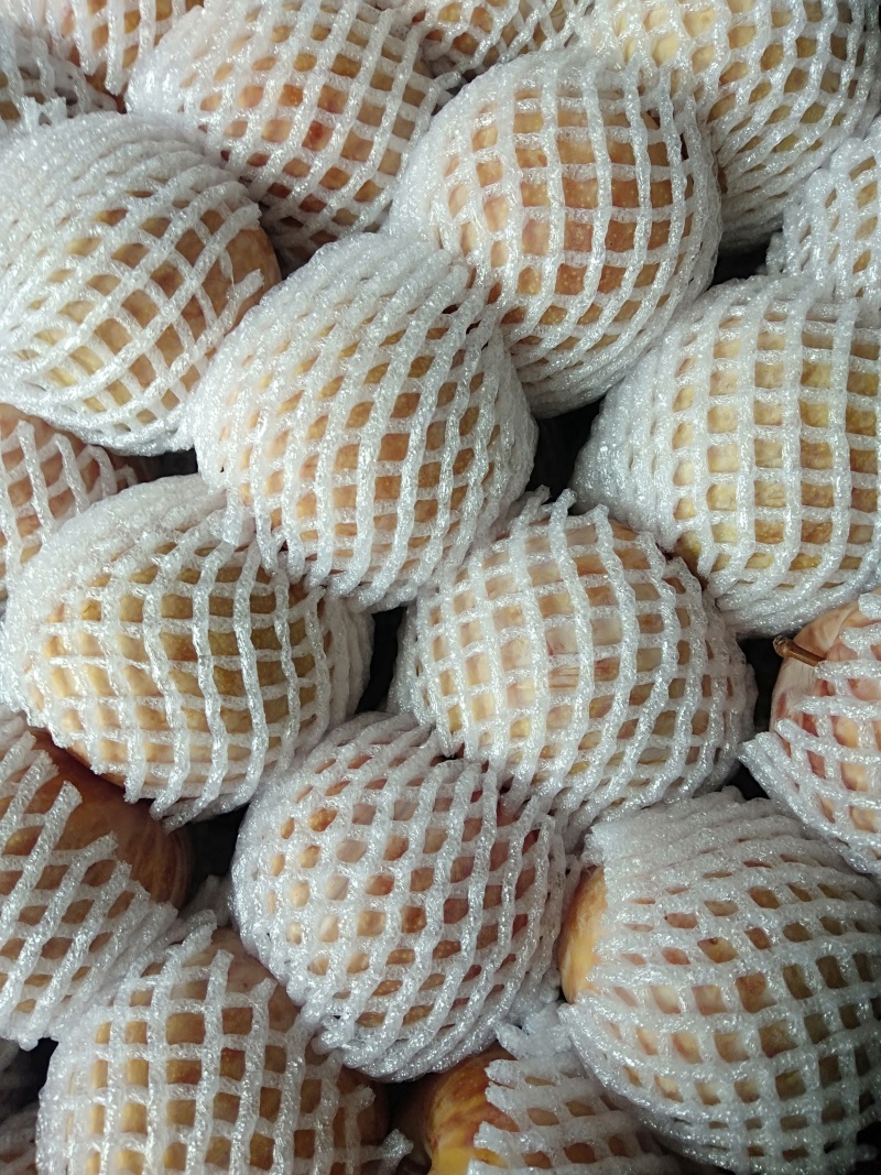 黄金奈李