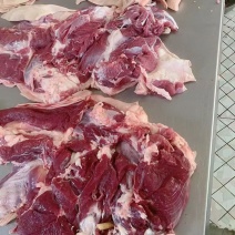 带皮羊肉，一手货源
