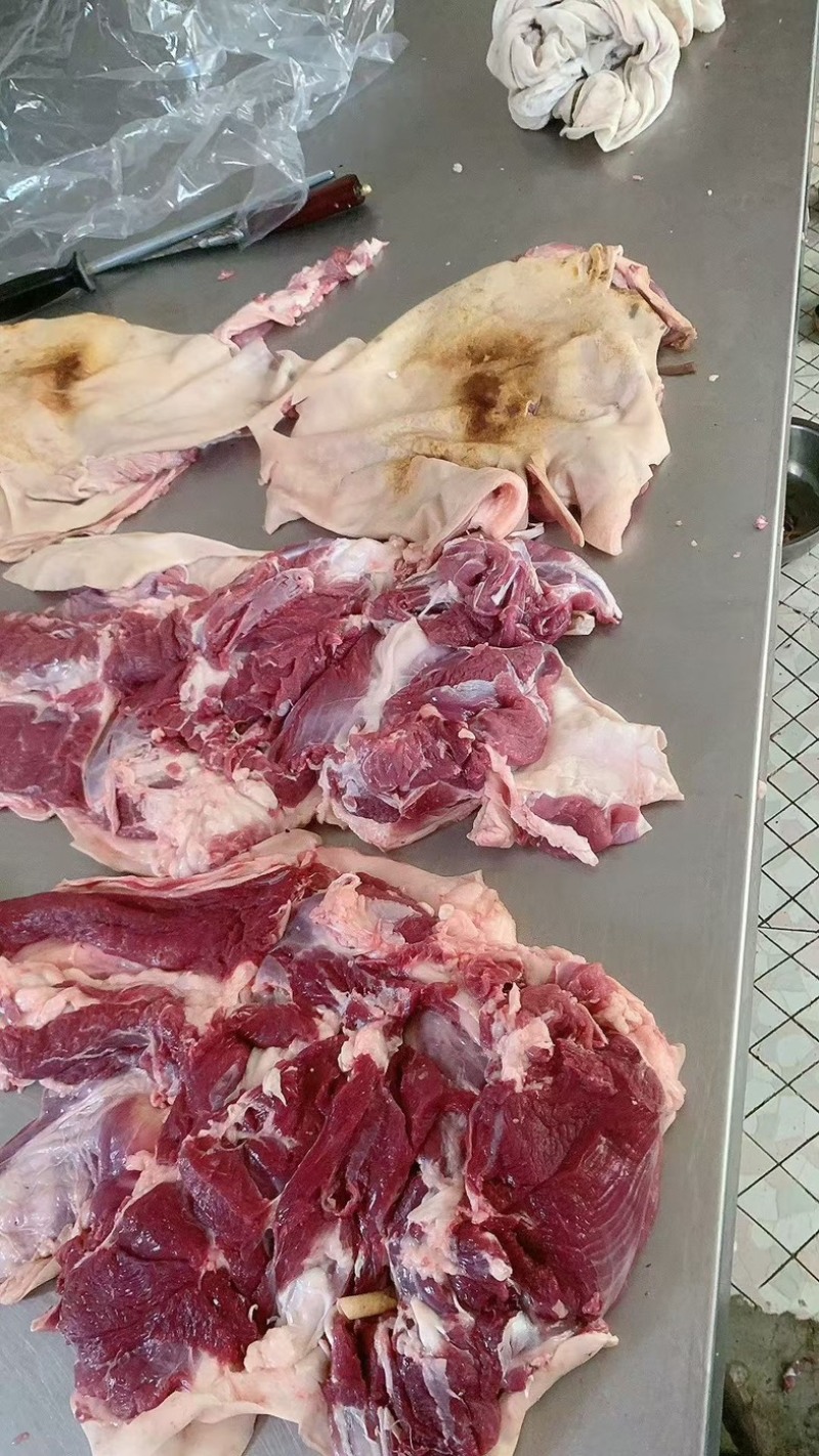 带皮羊肉，一手货源