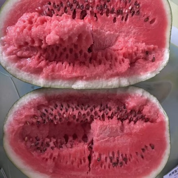 50亩地的西瓜