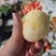 四川水蜜桃大量上货中，各种规格的货都有