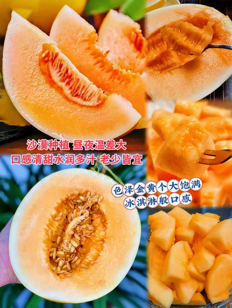 （民勤蜜瓜）甘肃哈密瓜/一件代发/电商货源/可开发票