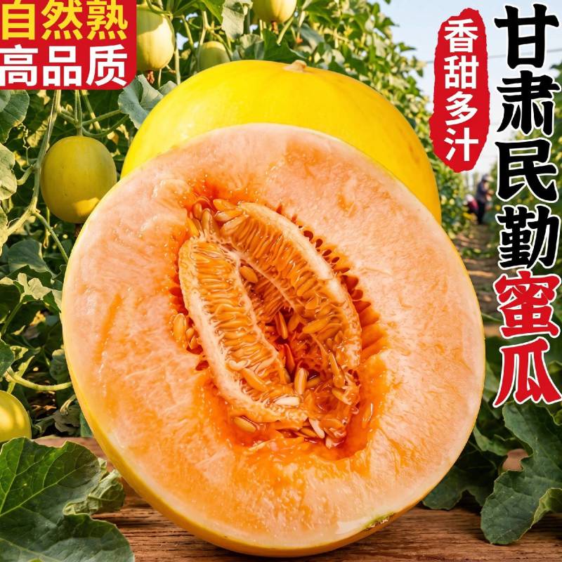 （民勤蜜瓜）甘肃哈密瓜/一件代发/电商货源/可开发票
