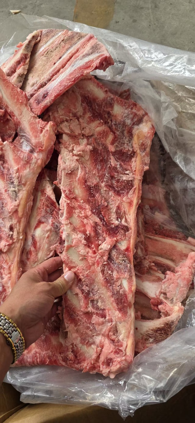 带肉牛羽骨