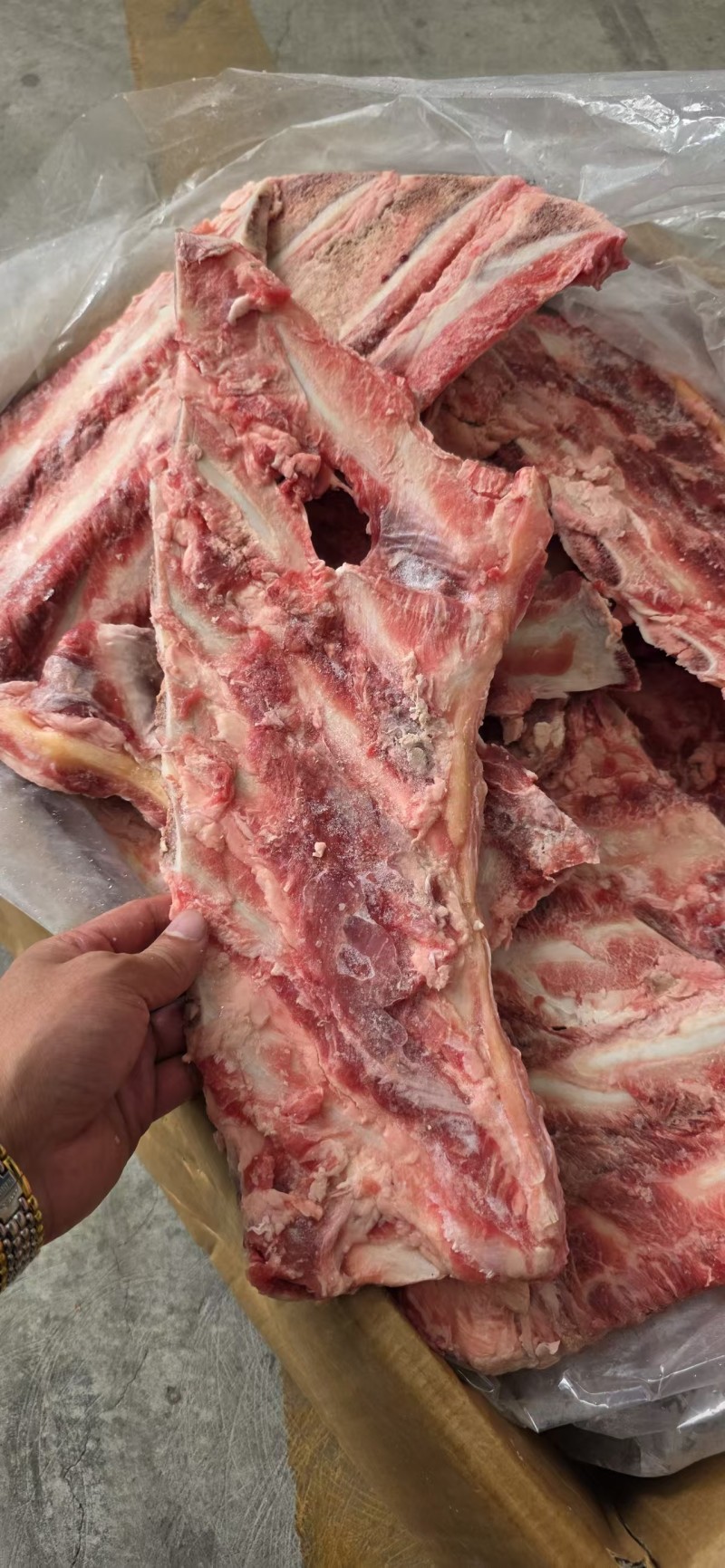 带肉牛羽骨