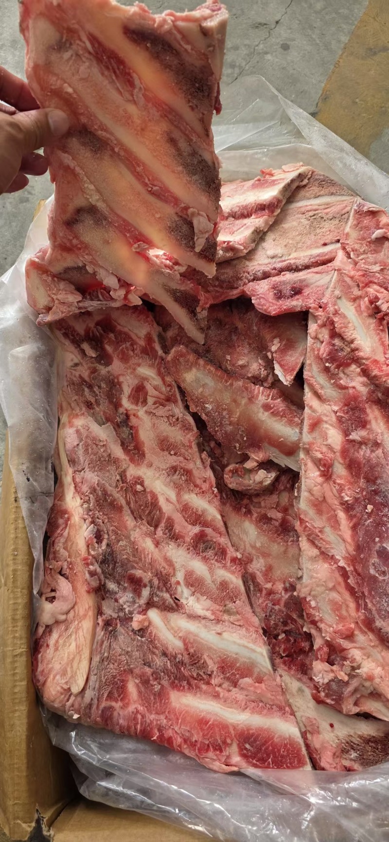 带肉牛羽骨