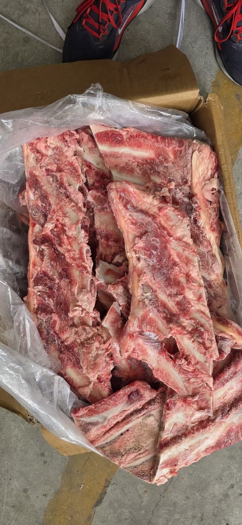 带肉牛羽骨