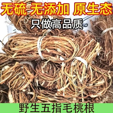广东无硫新鲜干货生晒五指毛桃根金龙牛奶根煮水煲汤量大优惠