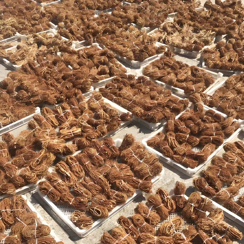 广东无硫新鲜干货生晒五指毛桃根金龙牛奶根煮水煲汤量大优惠