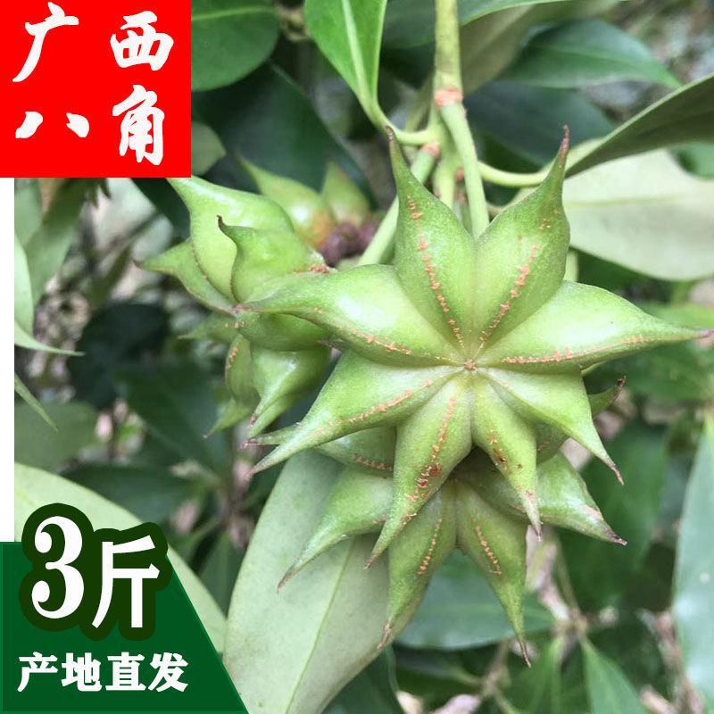广西正宗大料新鲜现摘八角新货特级出口大茴香调料卤味