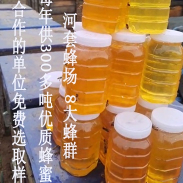 黄芪土蜂蜜