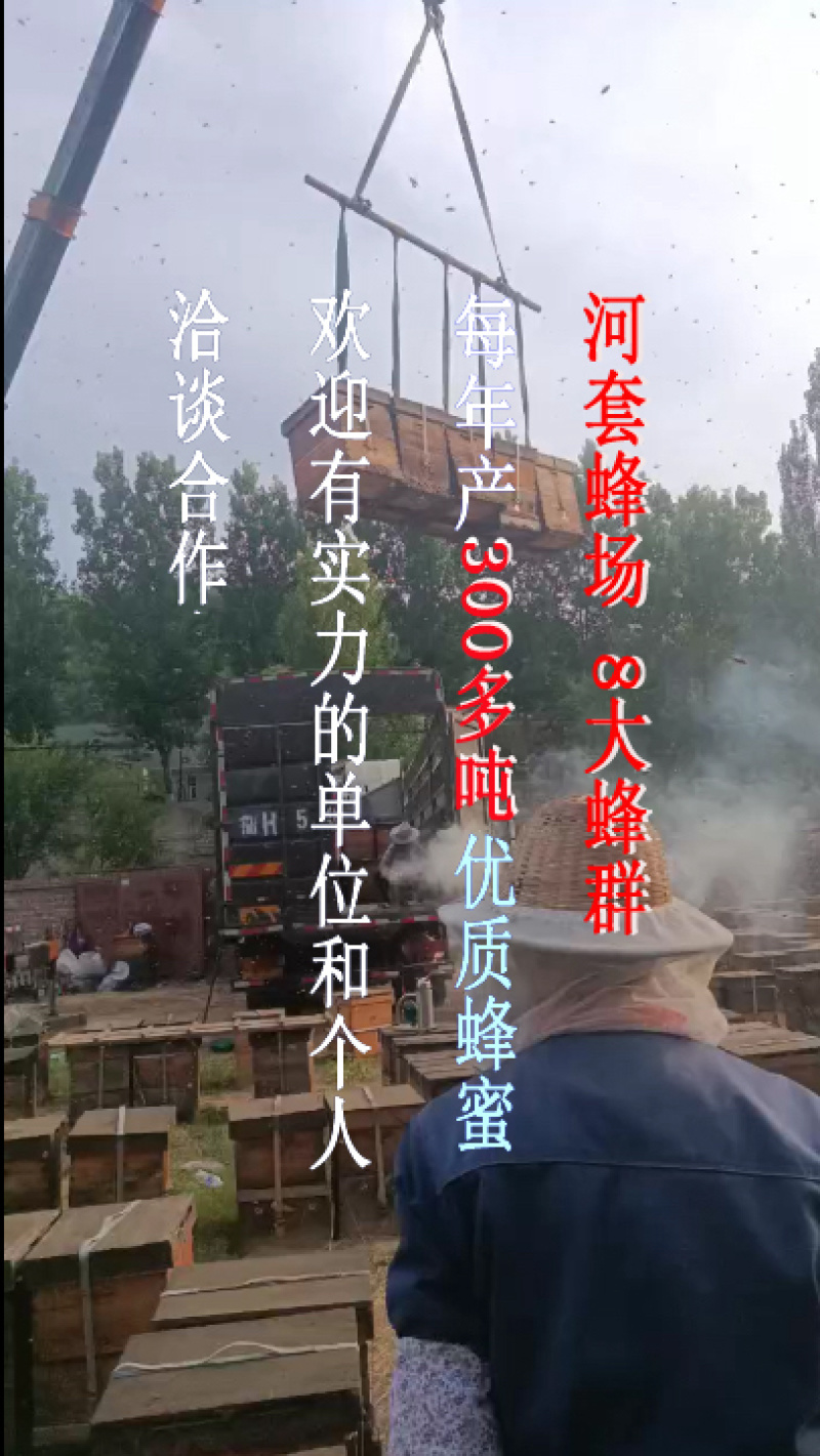 延安槐花蜂蜜土蜂蜜五味子蜜枸杞蜜