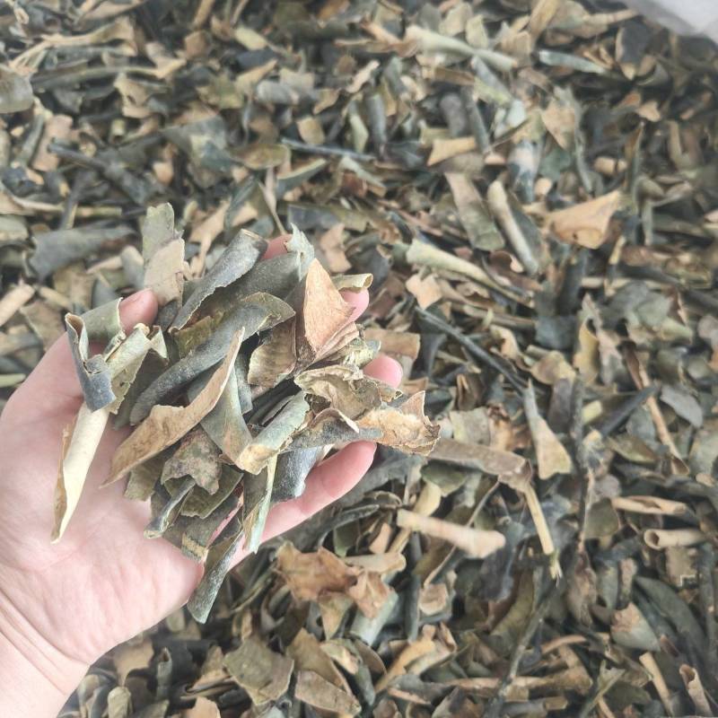 冬瓜皮新货祥泰药材栈中药材批发零售实物拍摄量多从优