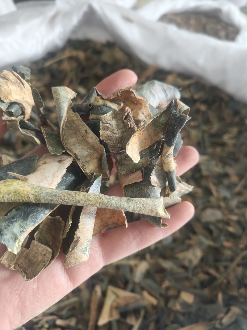 冬瓜皮新货祥泰药材栈中药材批发零售实物拍摄量多从优