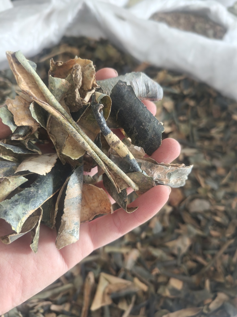 冬瓜皮新货祥泰药材栈中药材批发零售实物拍摄量多从优