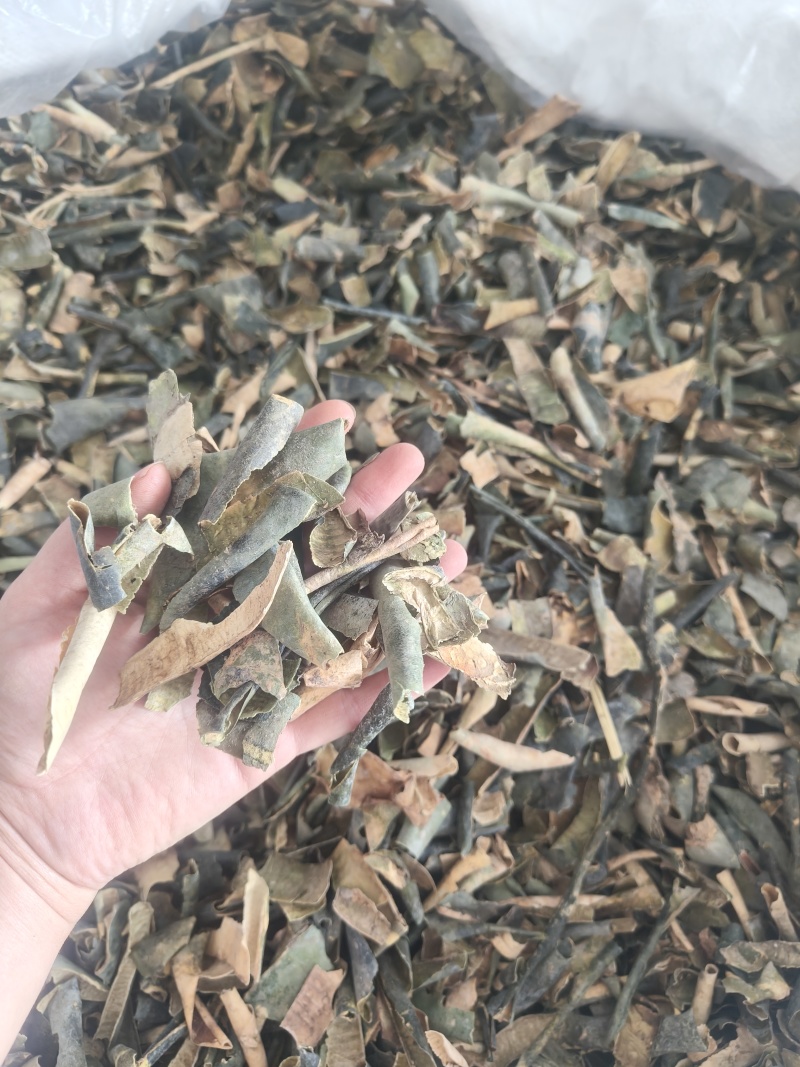 冬瓜皮新货祥泰药材栈中药材批发零售实物拍摄量多从优