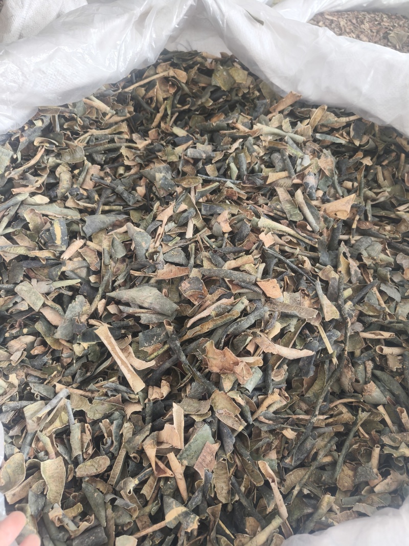 冬瓜皮新货祥泰药材栈中药材批发零售实物拍摄量多从优