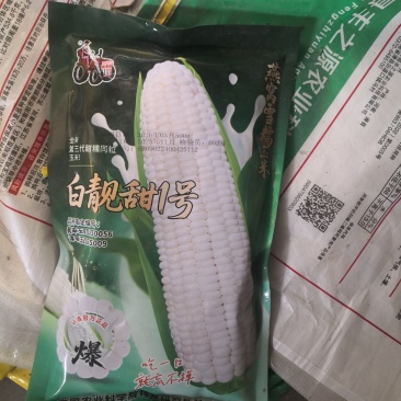 燕窝雪糯白糯甜玉米