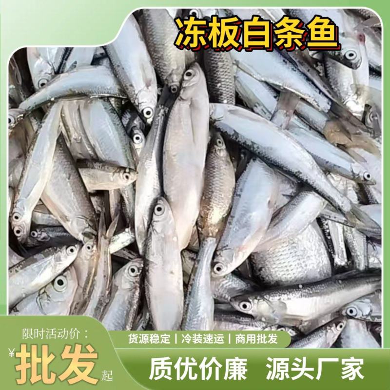 批发开肚白条鱼翘嘴鱼餐条规格定制商用油炸直供货源稳定野生