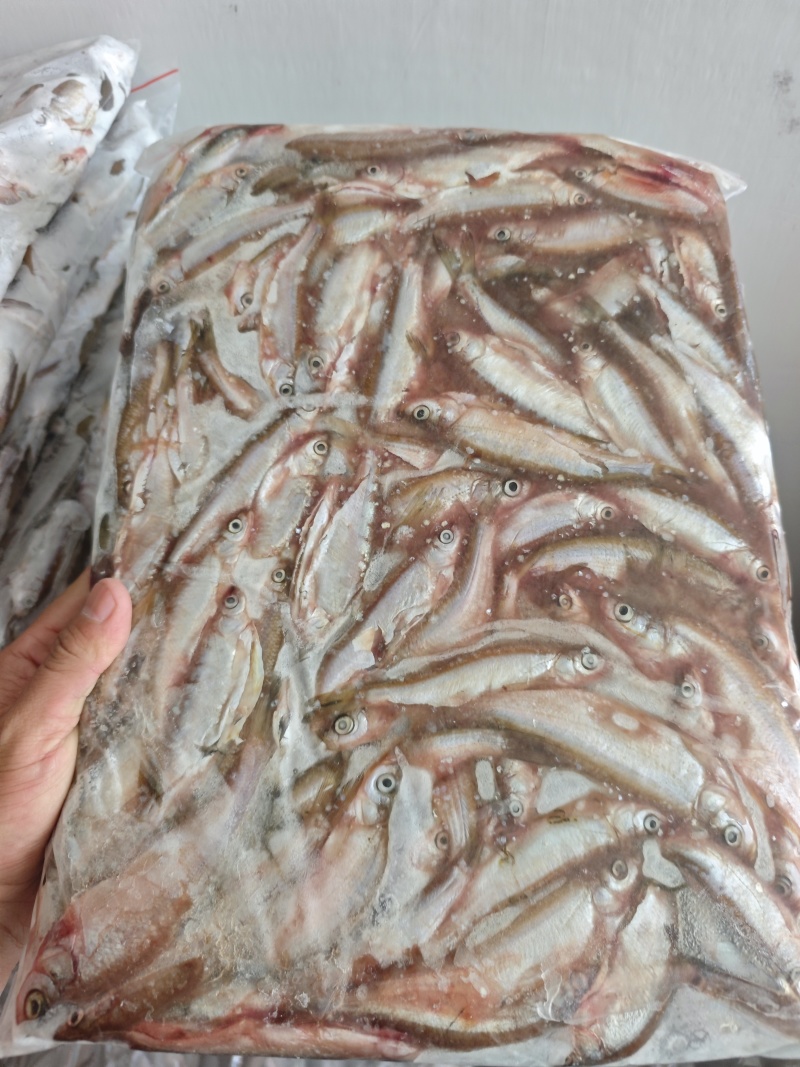 批发开肚白条鱼翘嘴鱼餐条规格定制商用油炸直供货源稳定野生