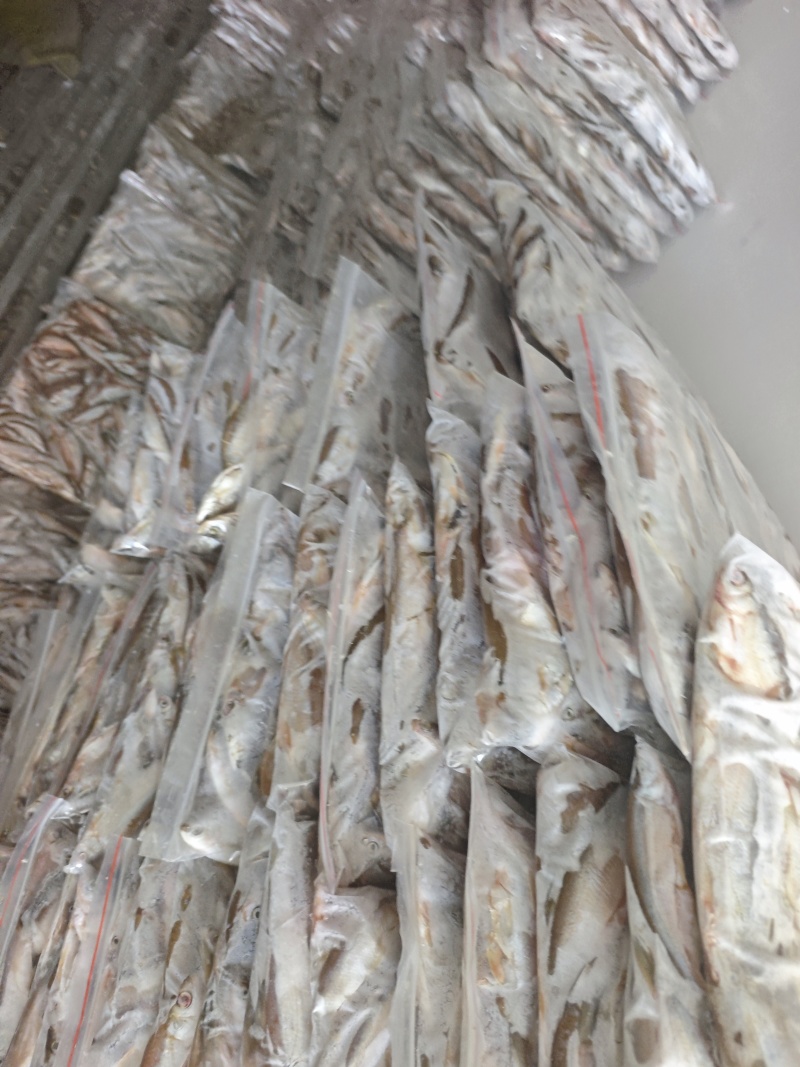 批发开肚白条鱼翘嘴鱼餐条规格定制商用油炸直供货源稳定野生