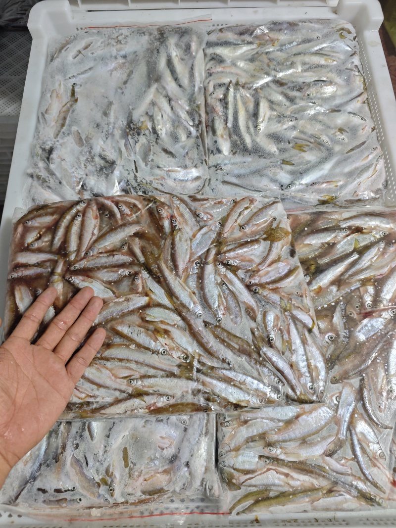 批发开肚白条鱼翘嘴鱼餐条规格定制商用油炸直供货源稳定野生