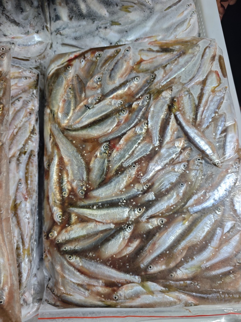 批发开肚白条鱼翘嘴鱼餐条规格定制商用油炸直供货源稳定野生