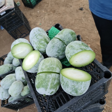 鲜食香芋小冬瓜