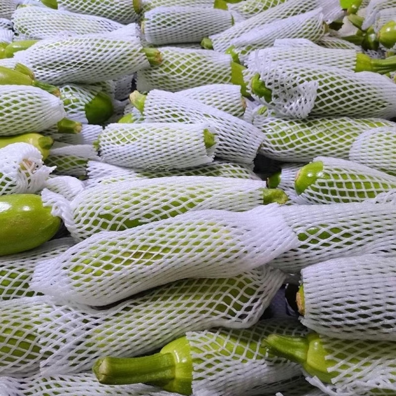 河北西葫芦优质绿皮西葫芦，大量上市货源充足，全国发货