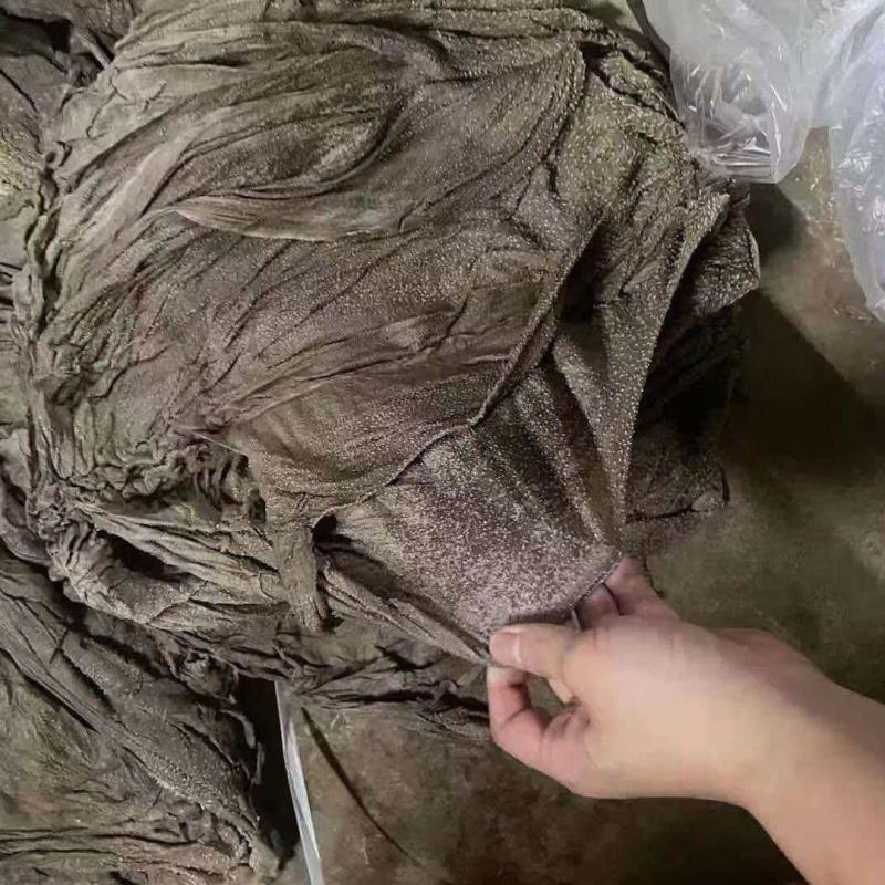盐毛肚
