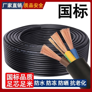 国标电线电缆线家用双芯三芯2.5/4平方护套线户外防冻插