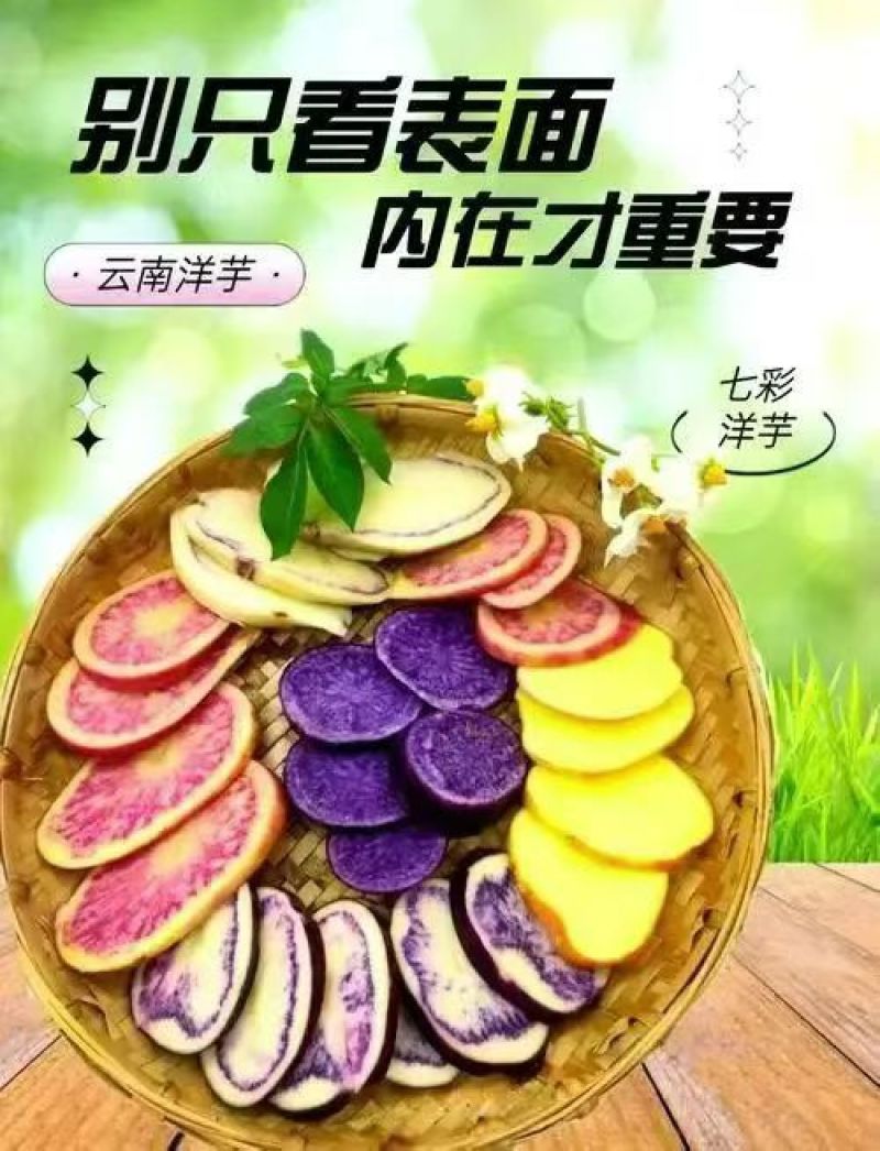 云南紫土豆，大量供应