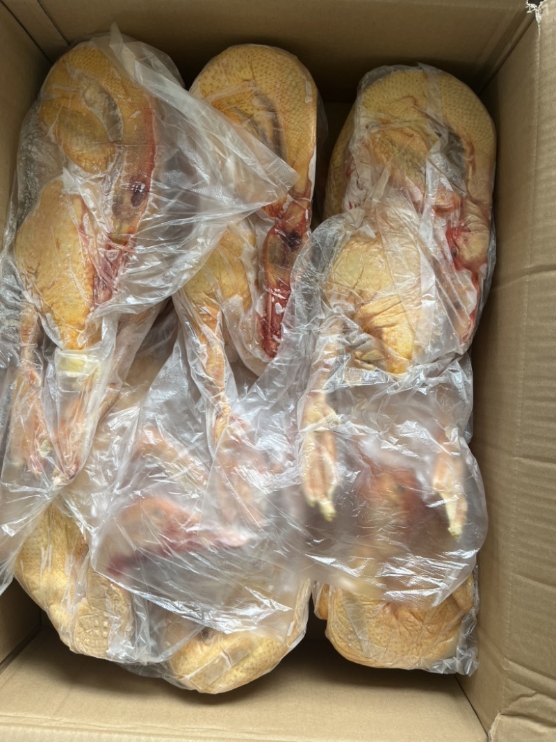 杭州湖州番鸭冻品直供
