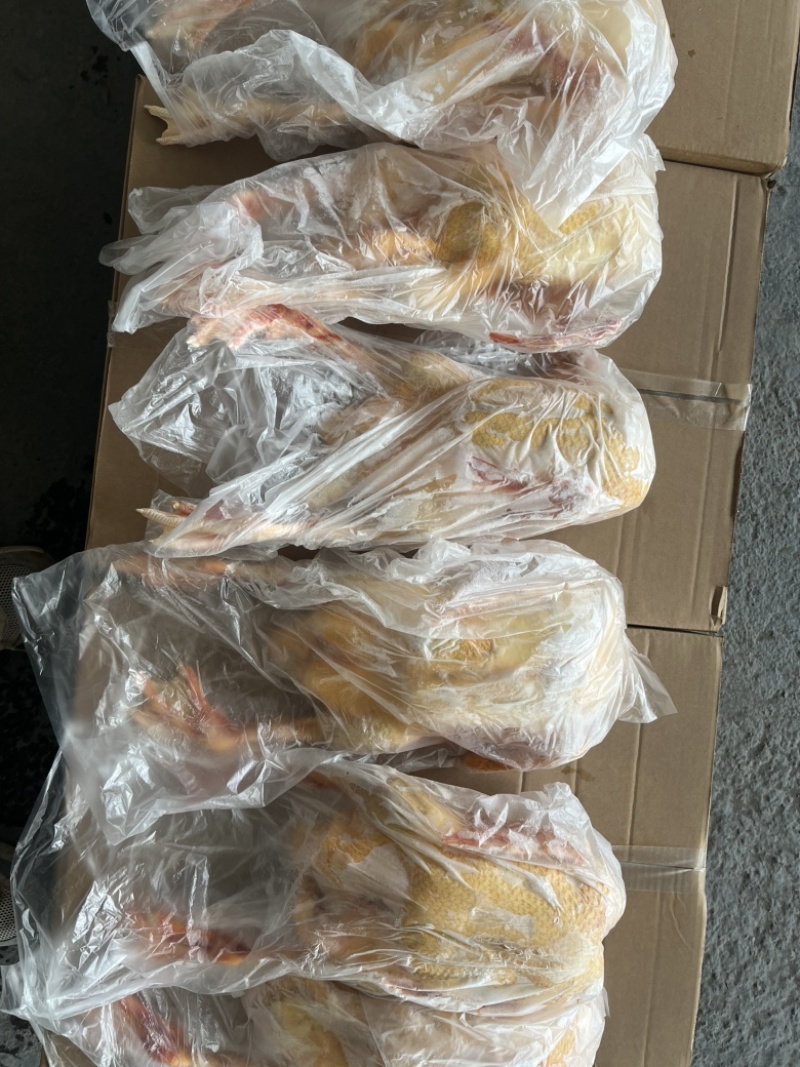 杭州湖州番鸭冻品直供