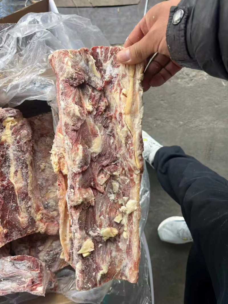 牛脊骨
