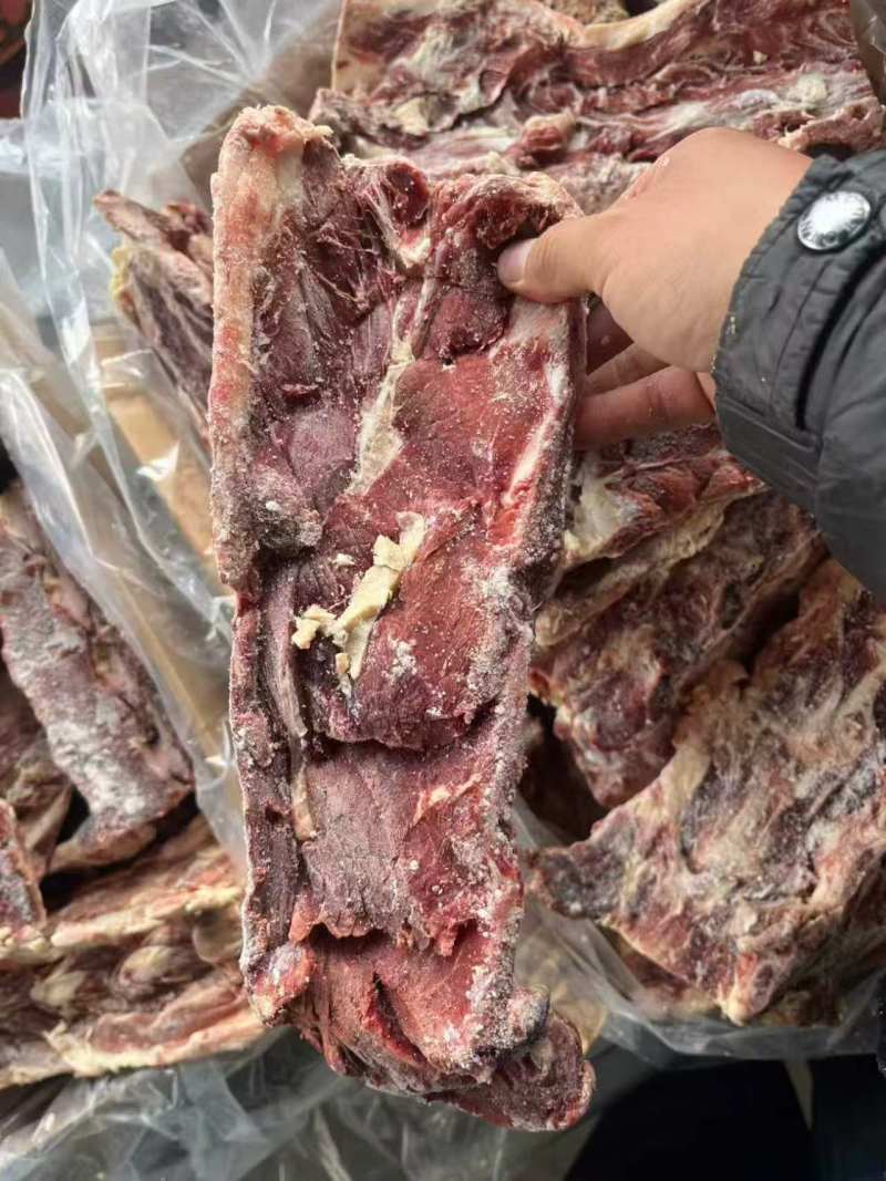 牛脊骨