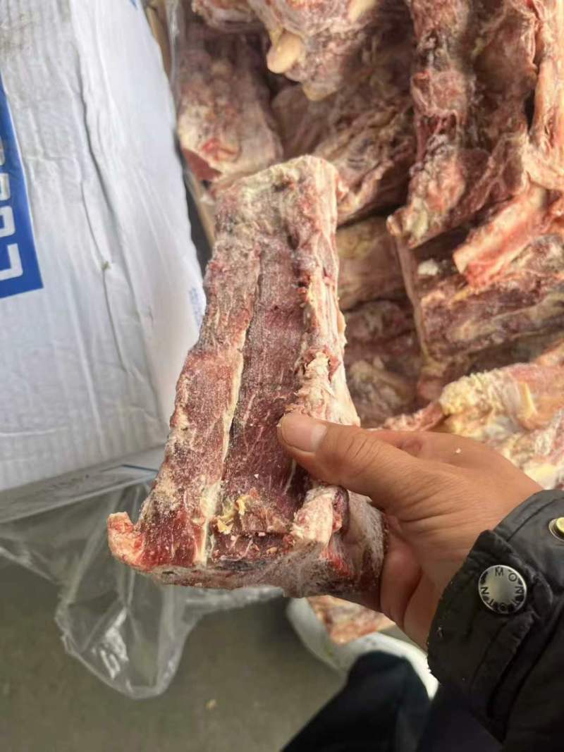 牛脊骨